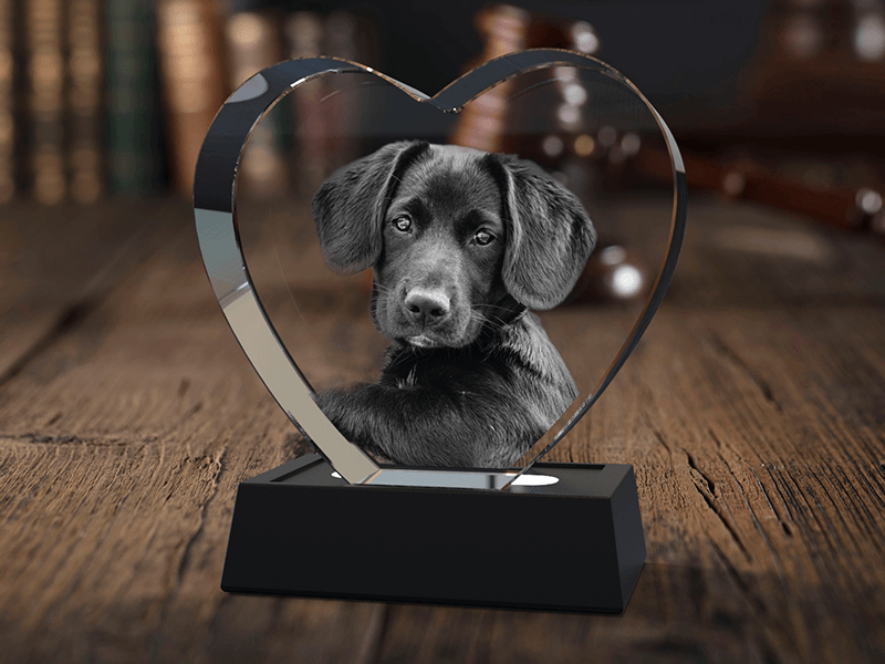 3d photo crystal heart with beautiful dog engraved inside