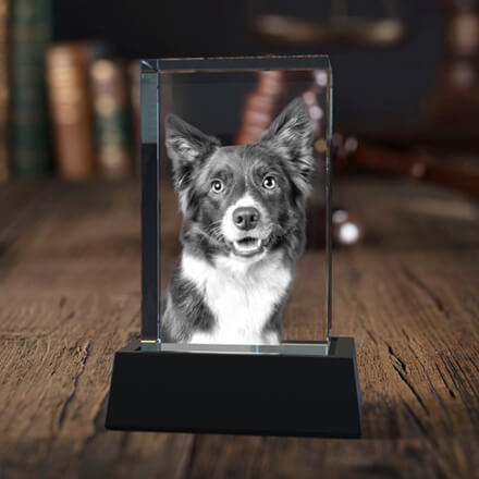 A 3D photo crystal with a photo of an adorable dog engraved inside it